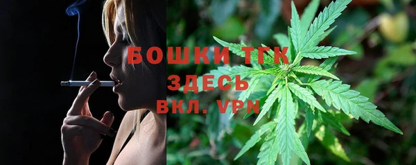 дживик Каменногорск