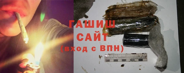 2c-b Инсар