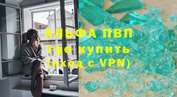 2c-b Инсар