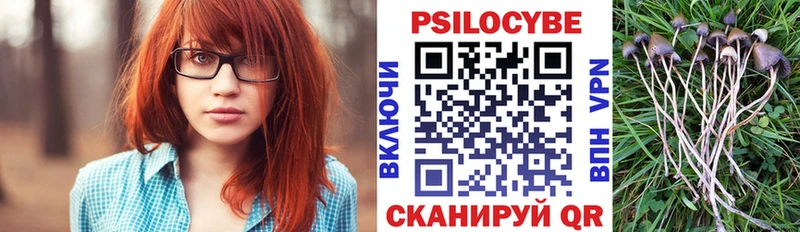 Купить закладки  Всеволожск  Галлюциногенные грибы Psilocybe 